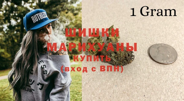 твердый Иннополис