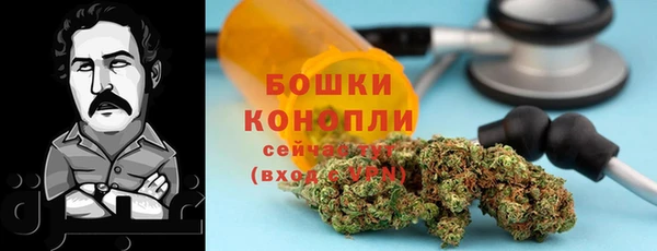 твердый Иннополис