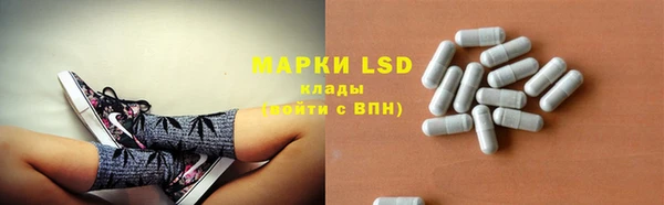 PSILOCYBIN Инта