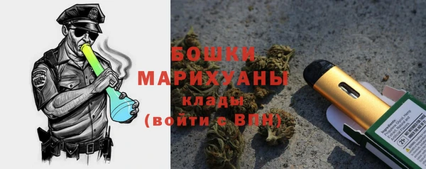 твердый Иннополис