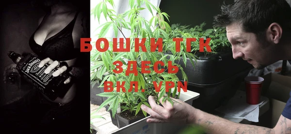PSILOCYBIN Инта