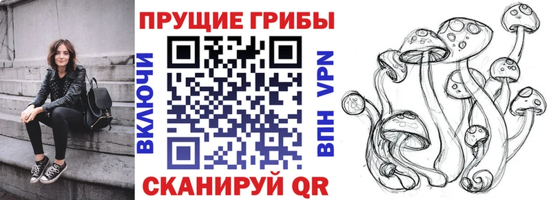 Галлюциногенные грибы GOLDEN TEACHER  Катав-Ивановск 